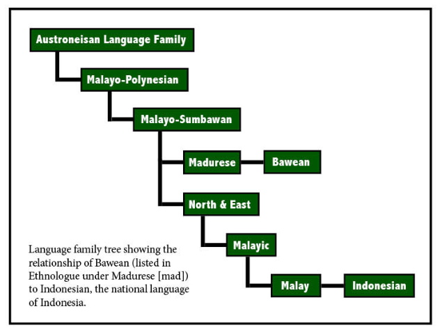 Bawean